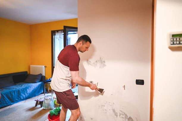 Best Insurance-Related Mold Remediation in Coldwater, MI