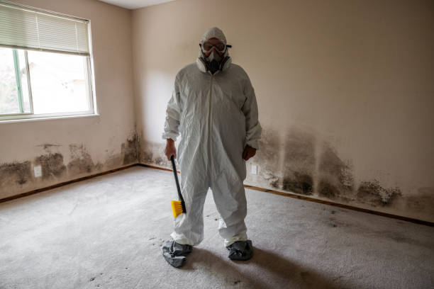 Trusted Coldwater, MI Mold Remediation Experts